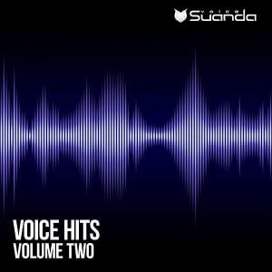 Voice Hits Vol.2 (MP3)