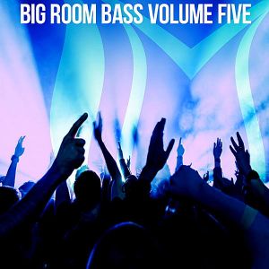 Big Room Bass Vol.5 Big Room Bass Vol.5