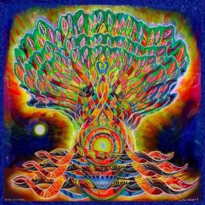 I.M.D - Seres De Luz