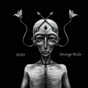 Rind - Strange Birds (MP3)