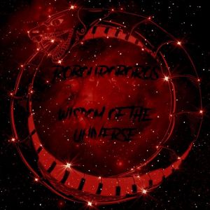 Robouroboros - Wisdom of the Universe