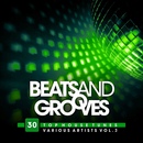 Beats And Grooves [30 Top House Tunes] Vol.3