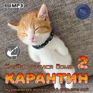 Карантин 2 (Когда остался дома)